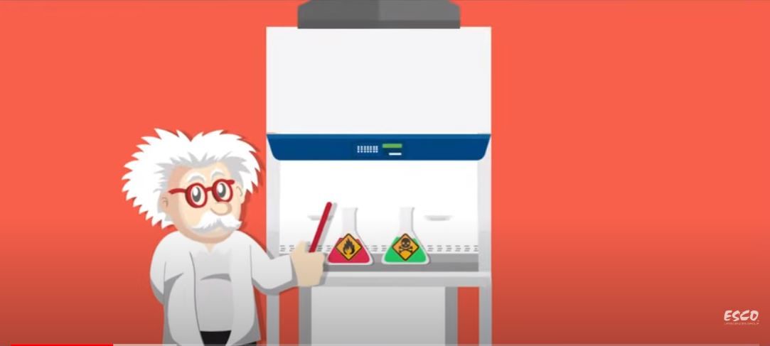 Labokraft.hu • Image and Text