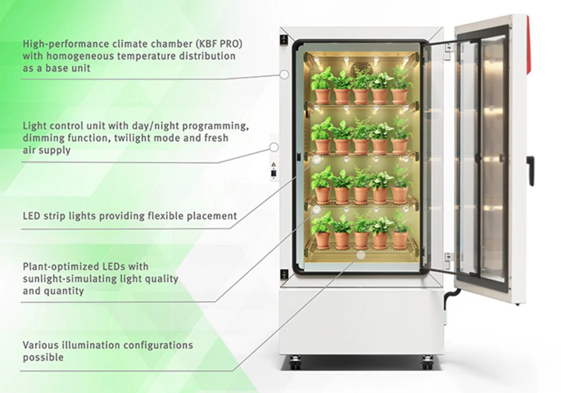 Labokraft.hu • Text and Image