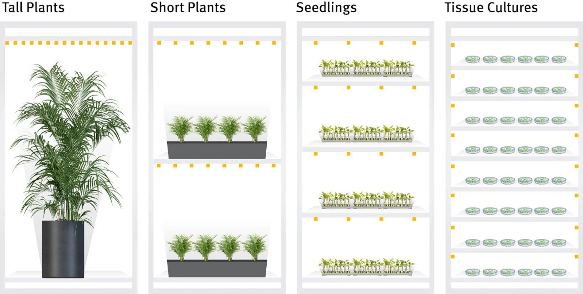 Labokraft.hu • A picture with a caption