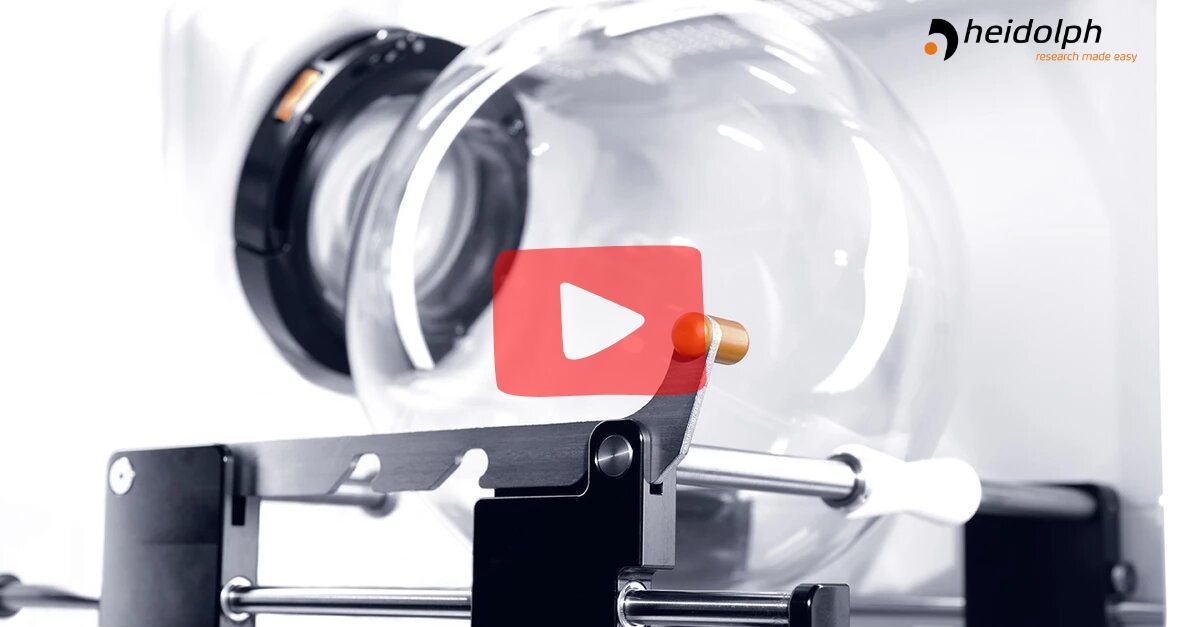 Labokraft.hu • Image and Text