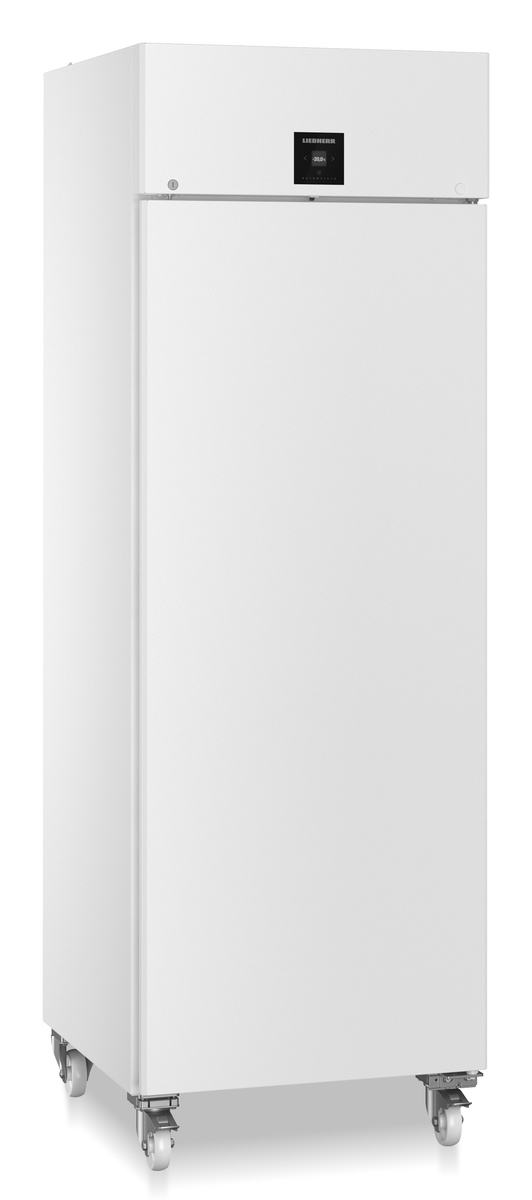 Liebherr SFPvg 6501 laboratóriumi mélyhűtő szekrény