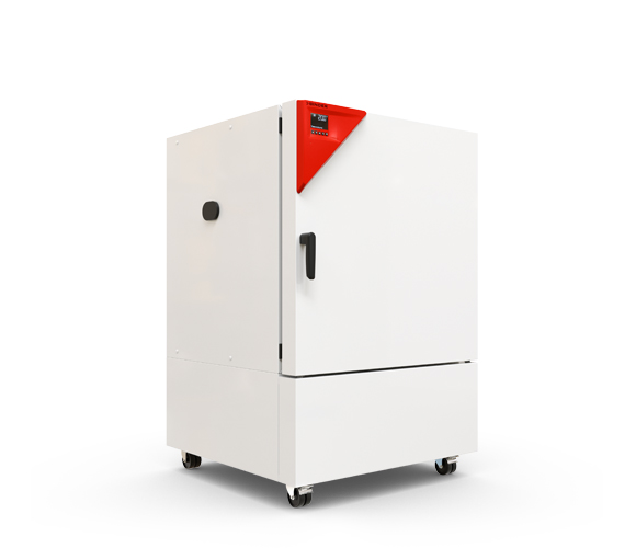 Binder KB 260 hűthető inkubátor